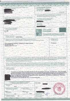 Cesrtificate phytosanitaire